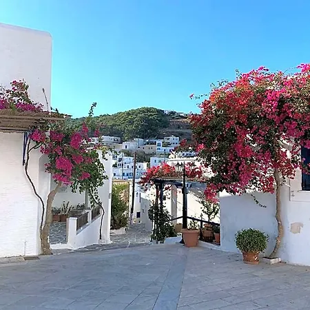 Villa Luxury Naxos Superior Triple 150m From Agios Georgios