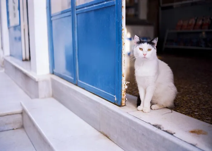 Luxury Naxos Superior Triple 150m From Agios Georgios 빌라 *